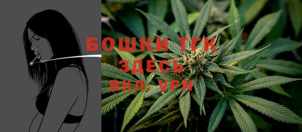 тгк Балабаново